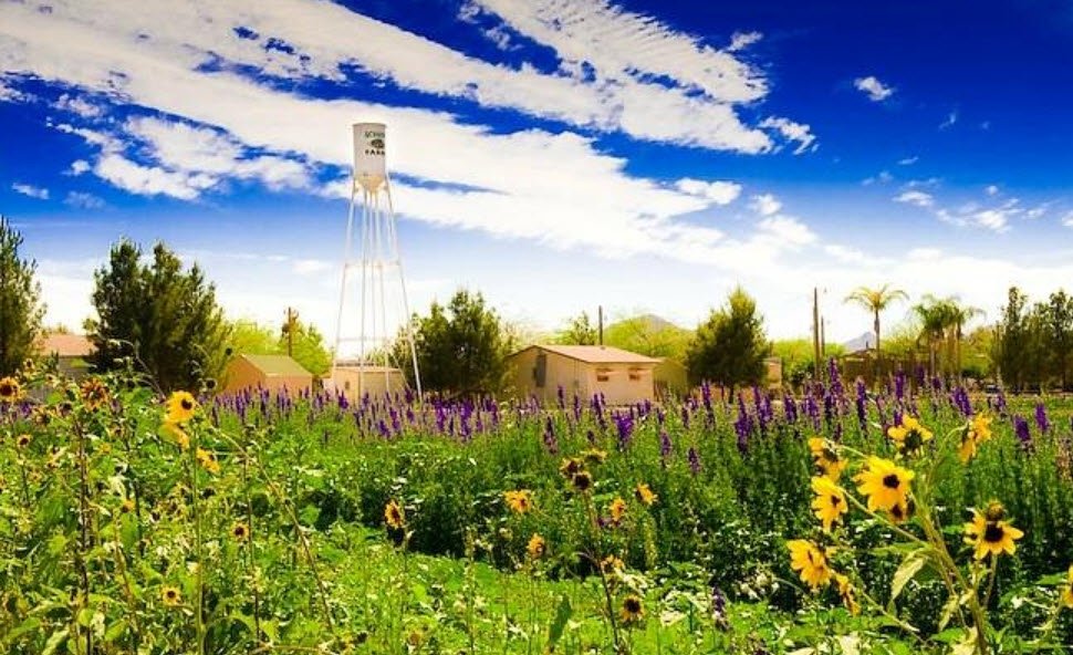 Schnepf Farms, United States